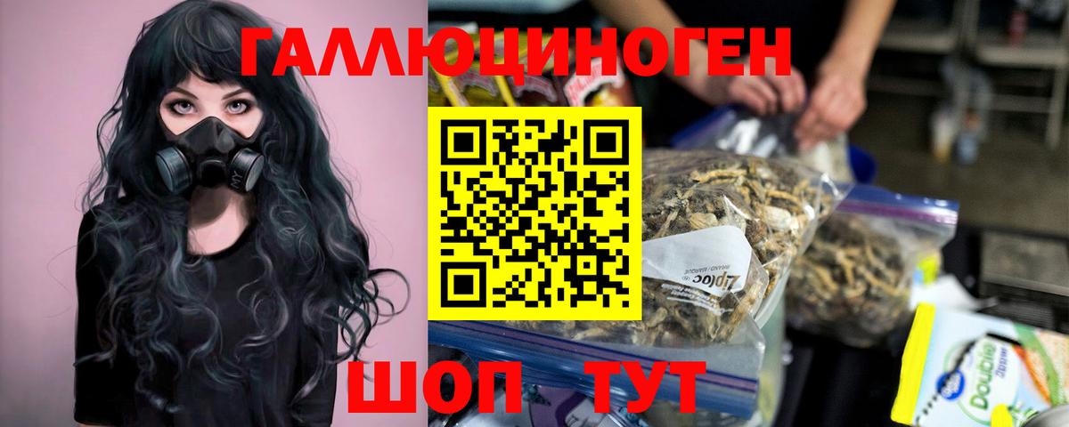 Сертолово  Галлюциногенные грибы прущие грибы  Вход с VPN  Псилоцибиновые грибы мухоморы 